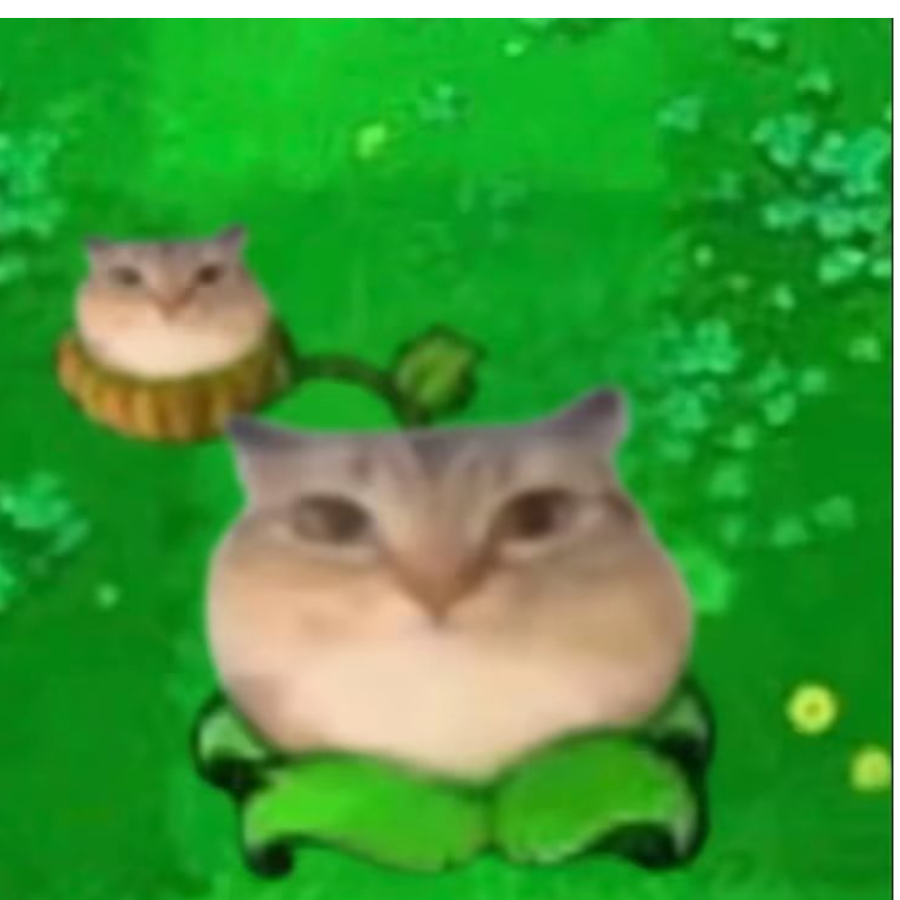 我就是个炊事员