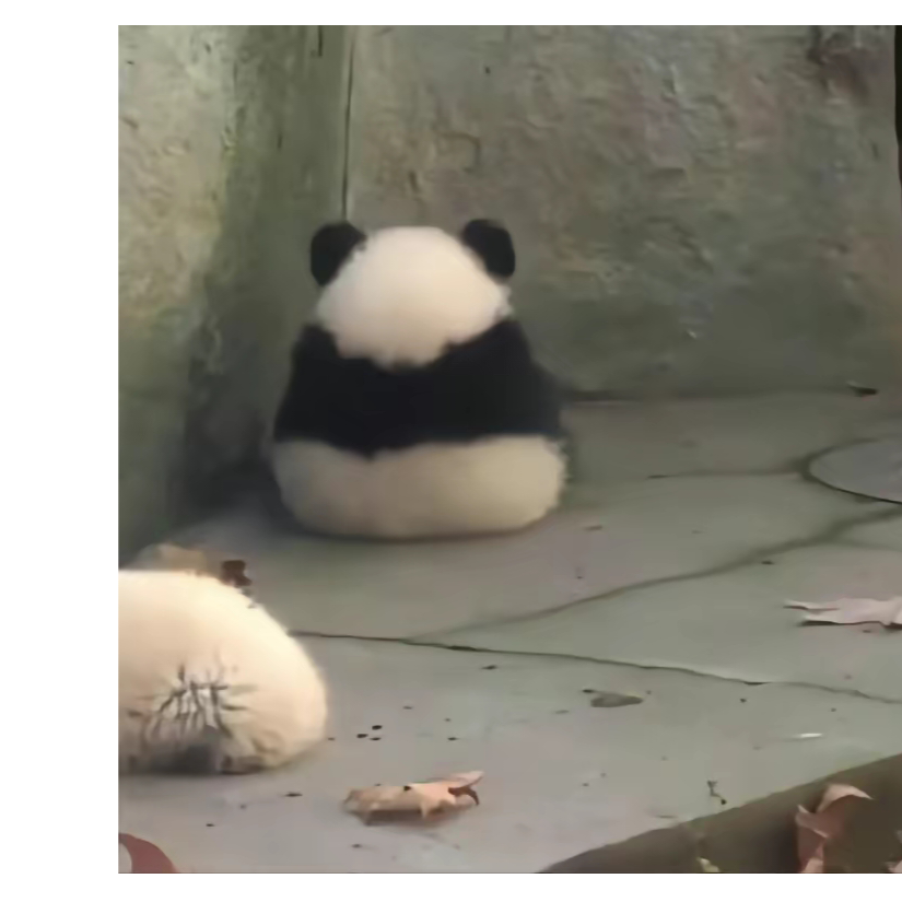 心之所属