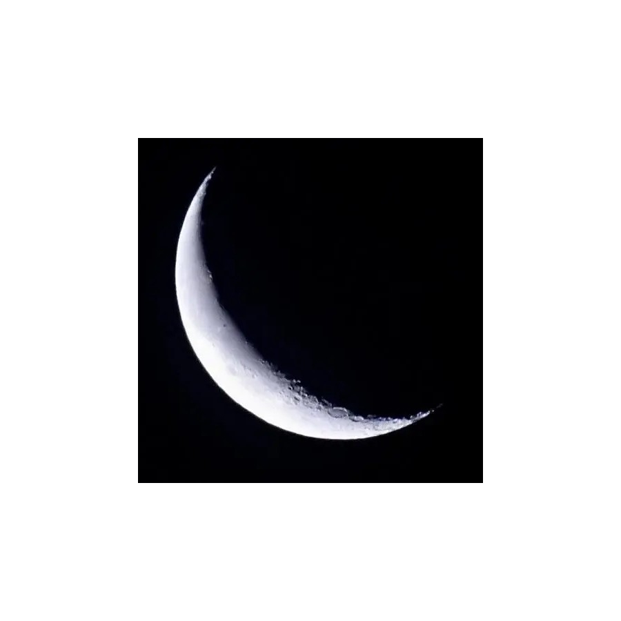 Moon Knight
