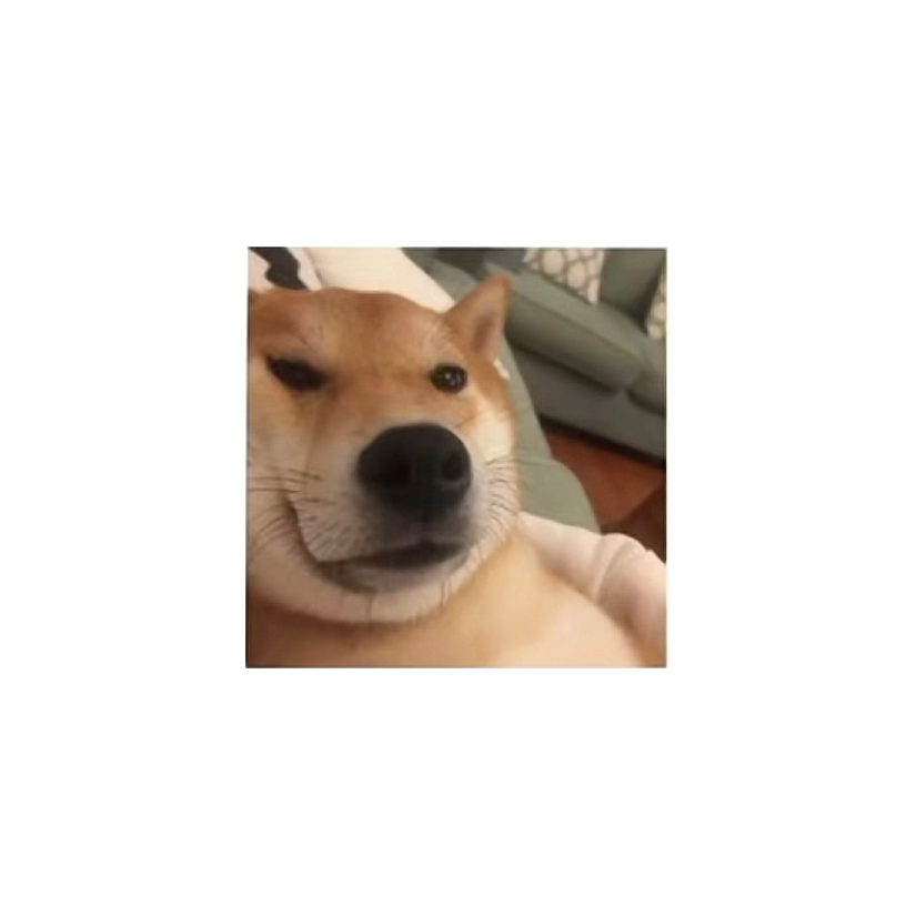 苏格拉没有底
