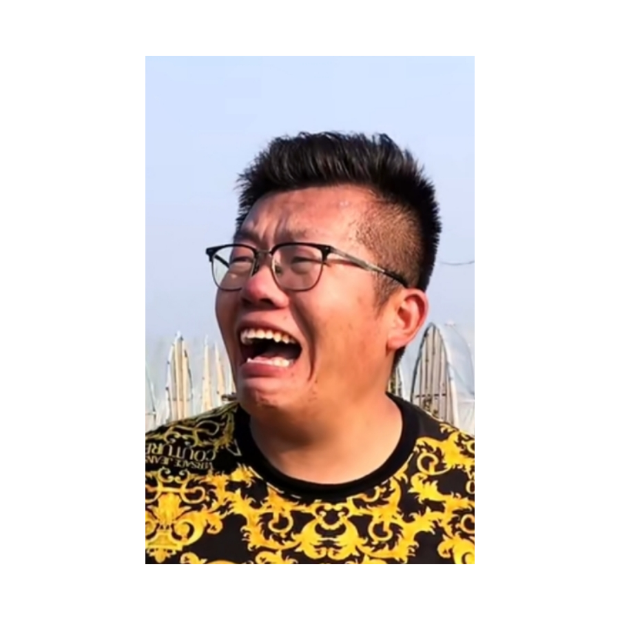 白菜很白
