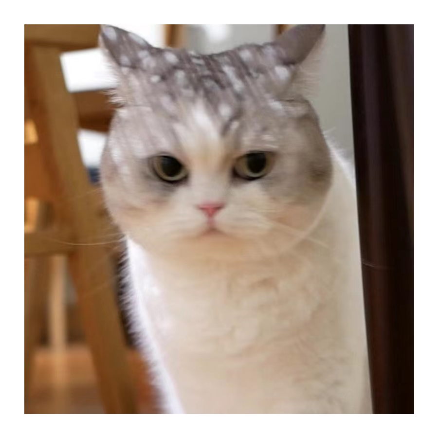 桃菲