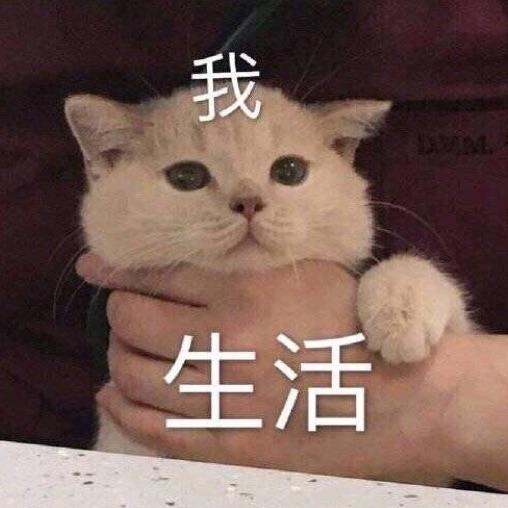 天上好多云