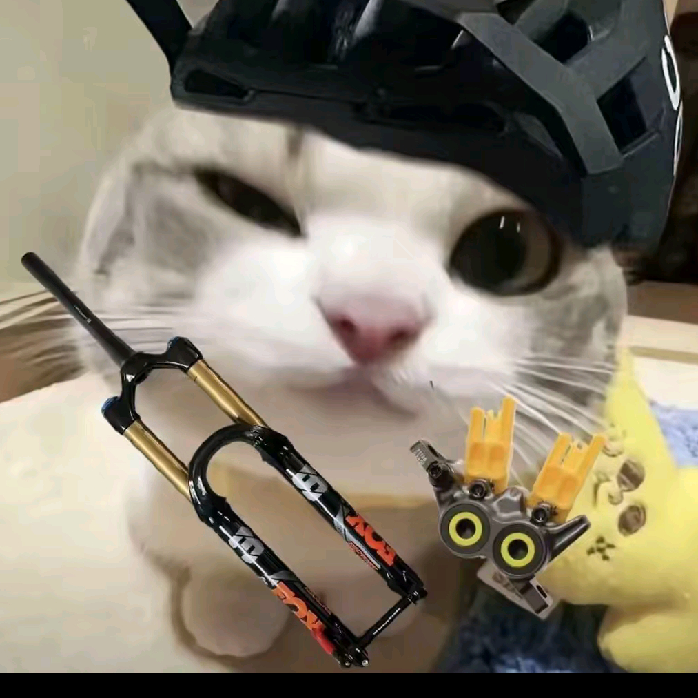 曾子腾