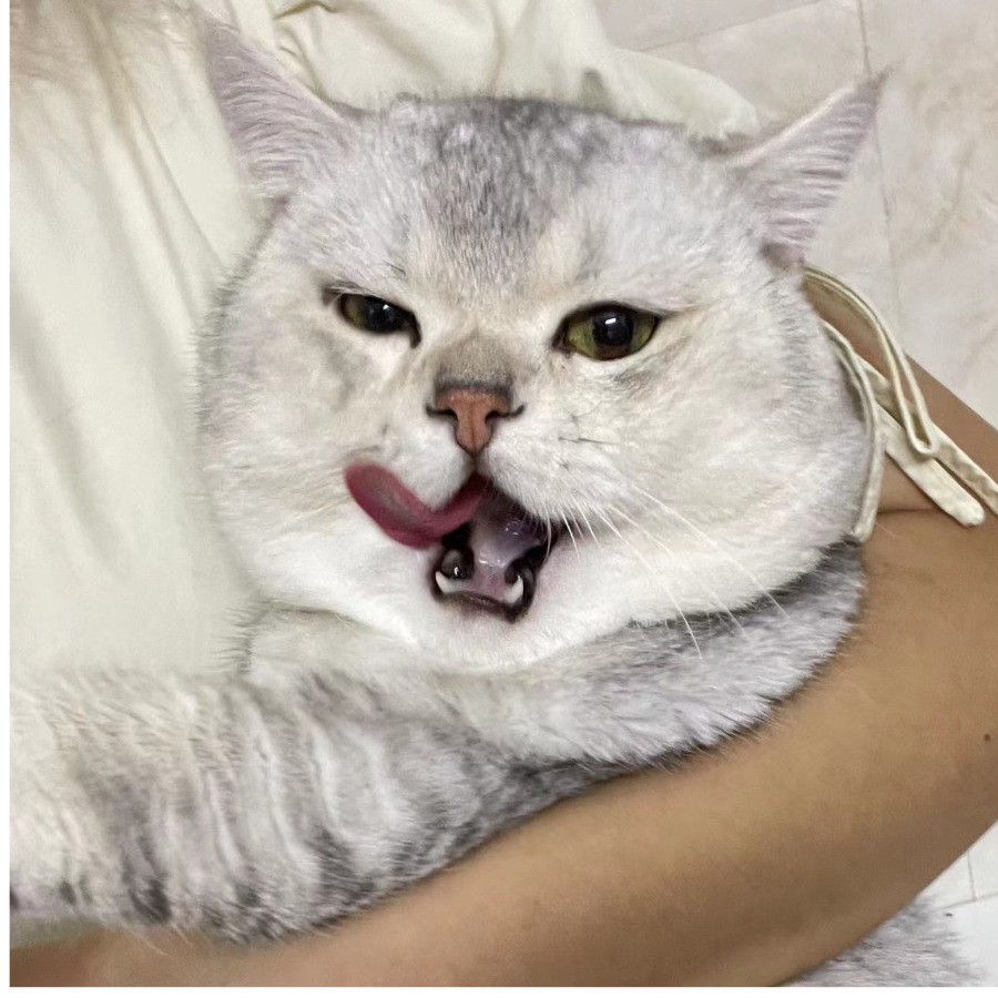 Xuuu