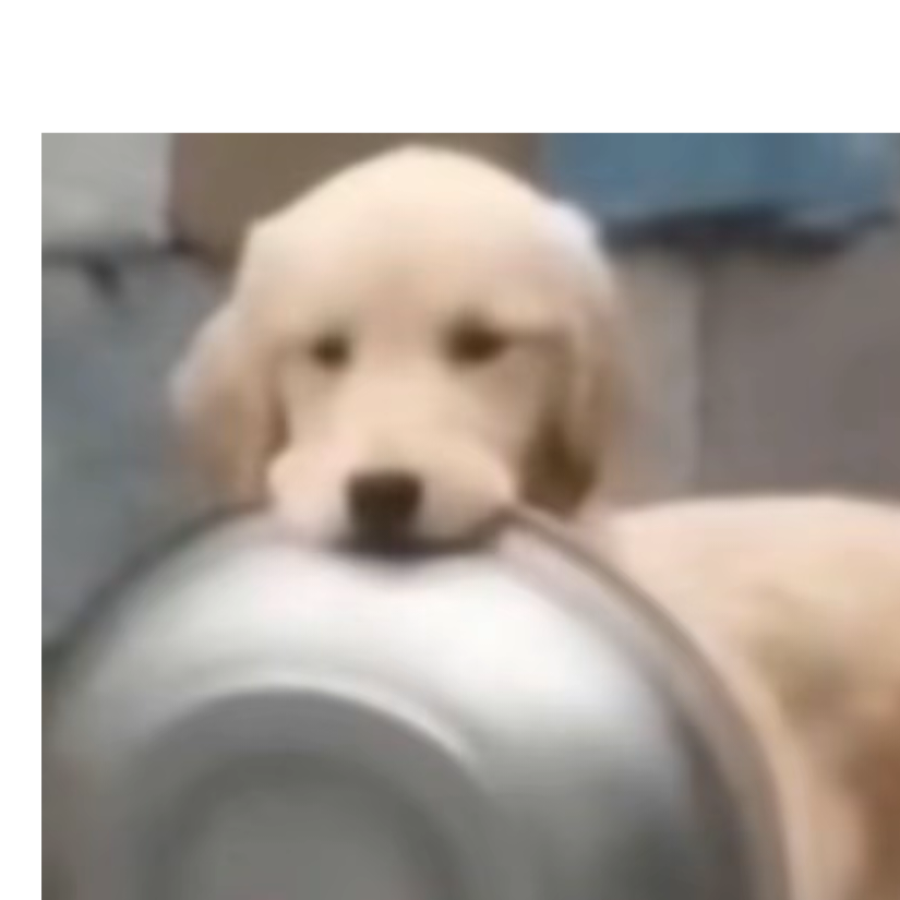 彼此
