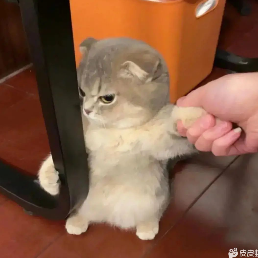 止水.