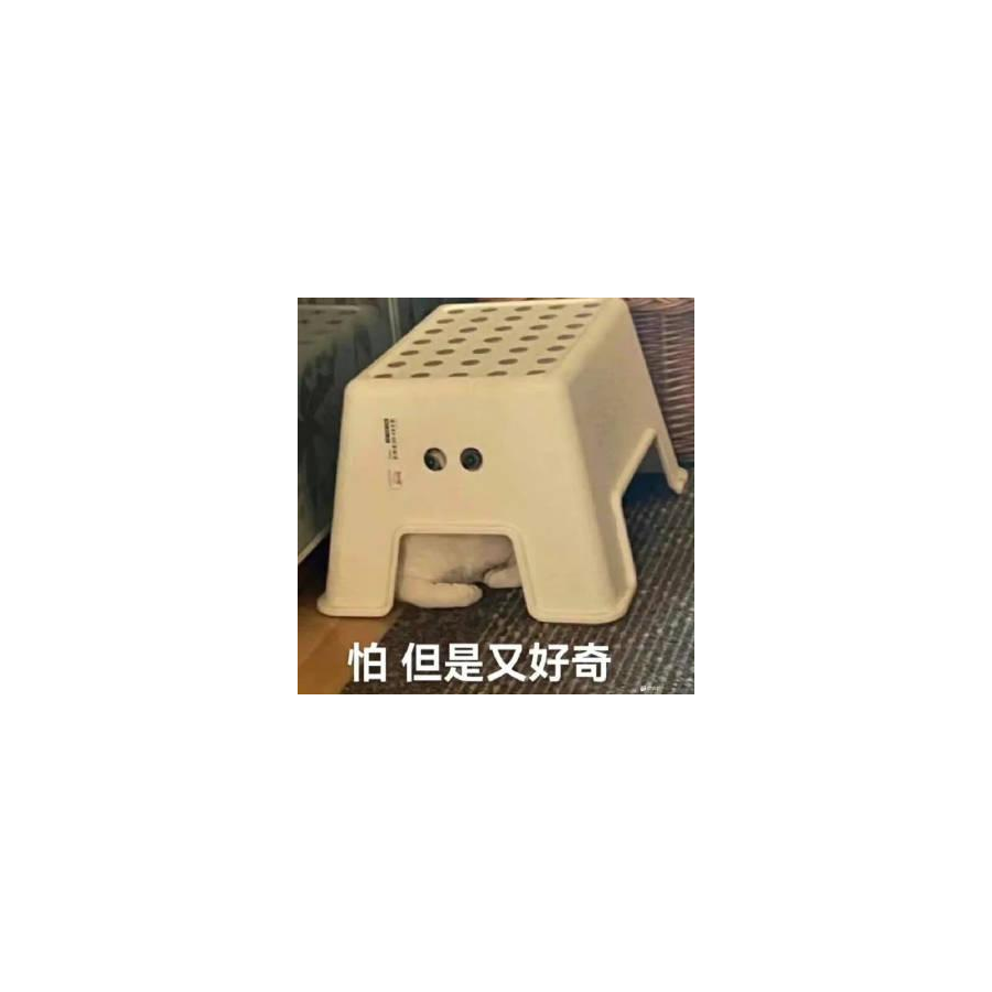 剑子仙途
