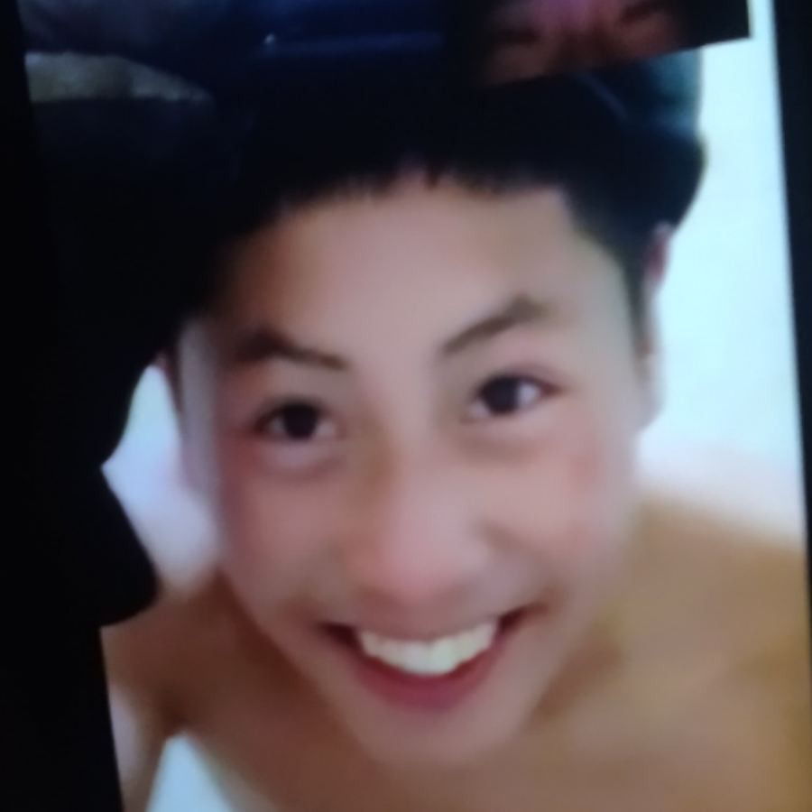 小鲍鱼