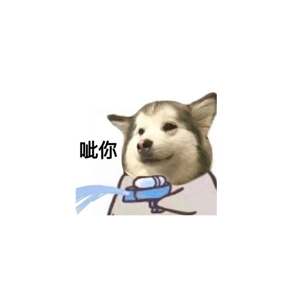 片儿