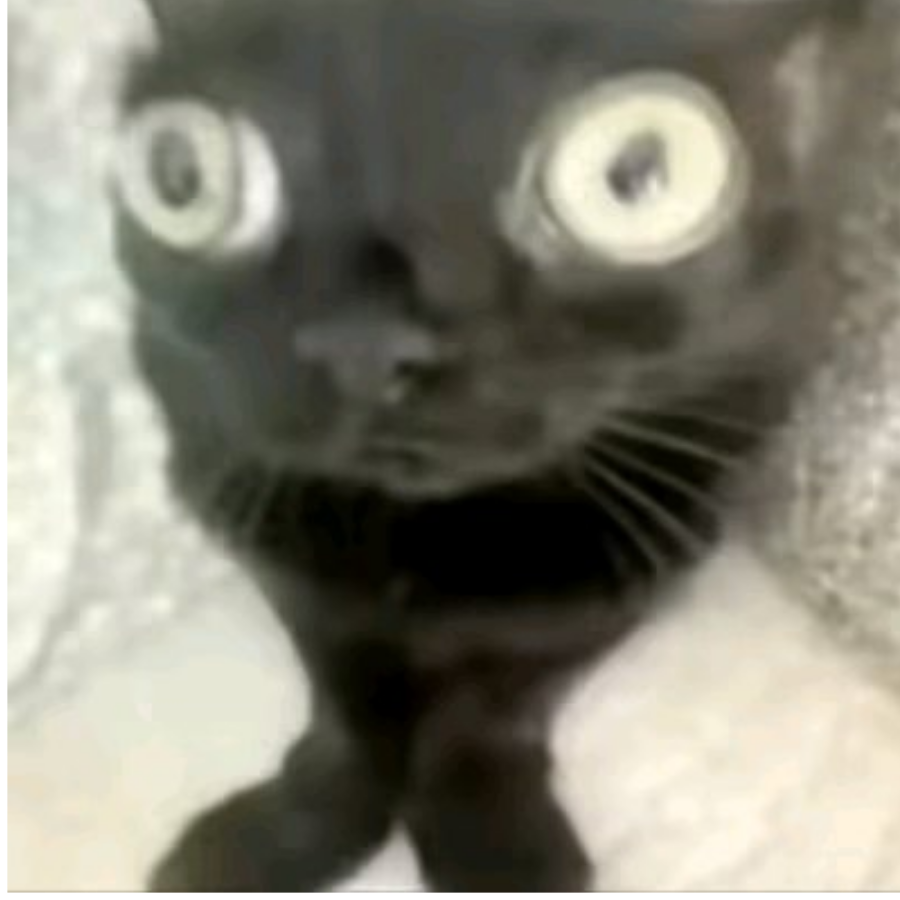 ∑(;°Д°)