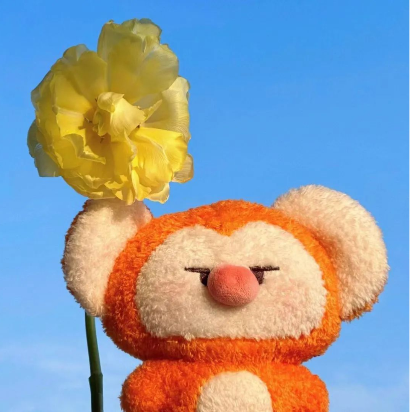 凉拌花椰菜