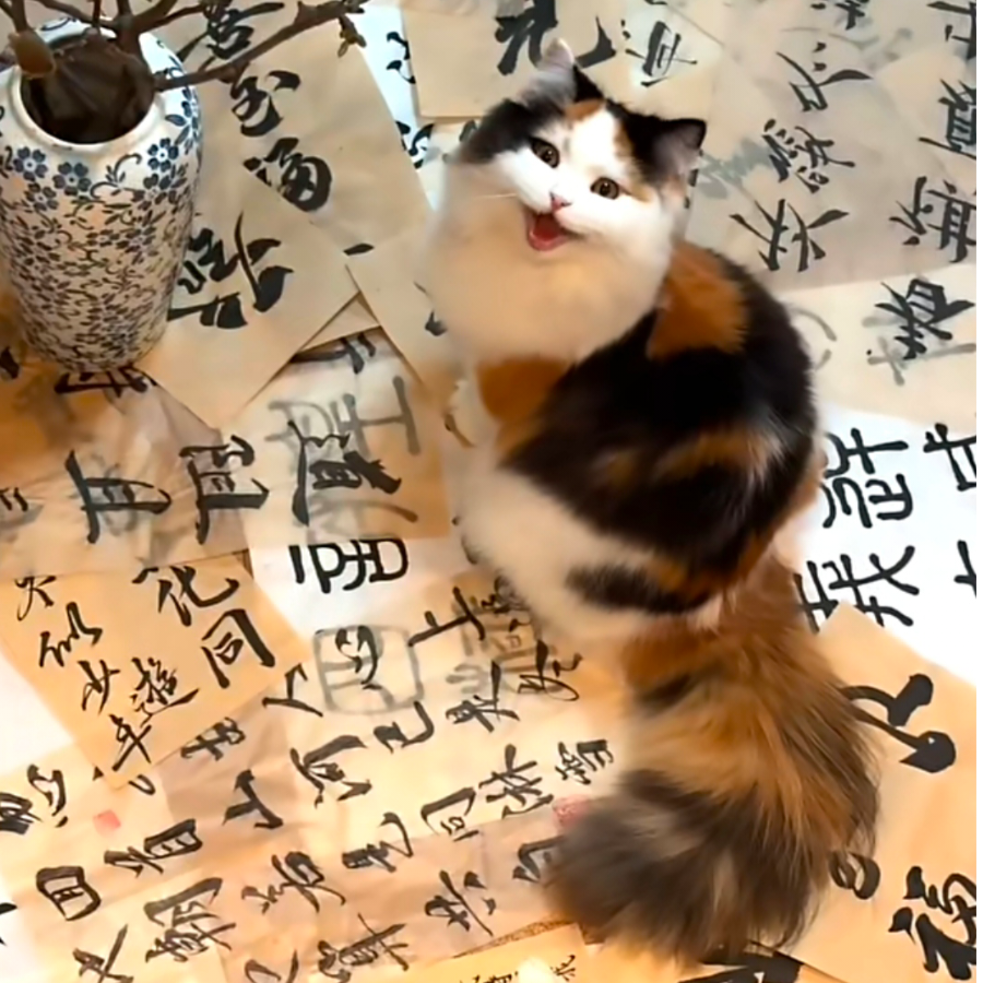 知许