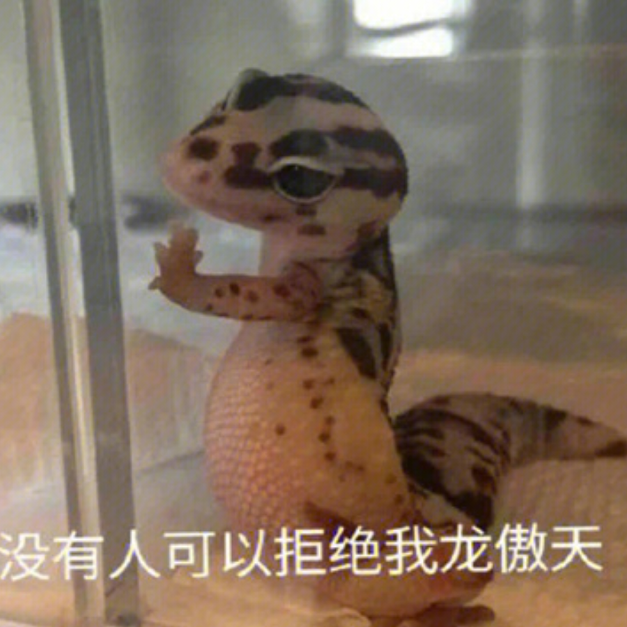 雨中漫步