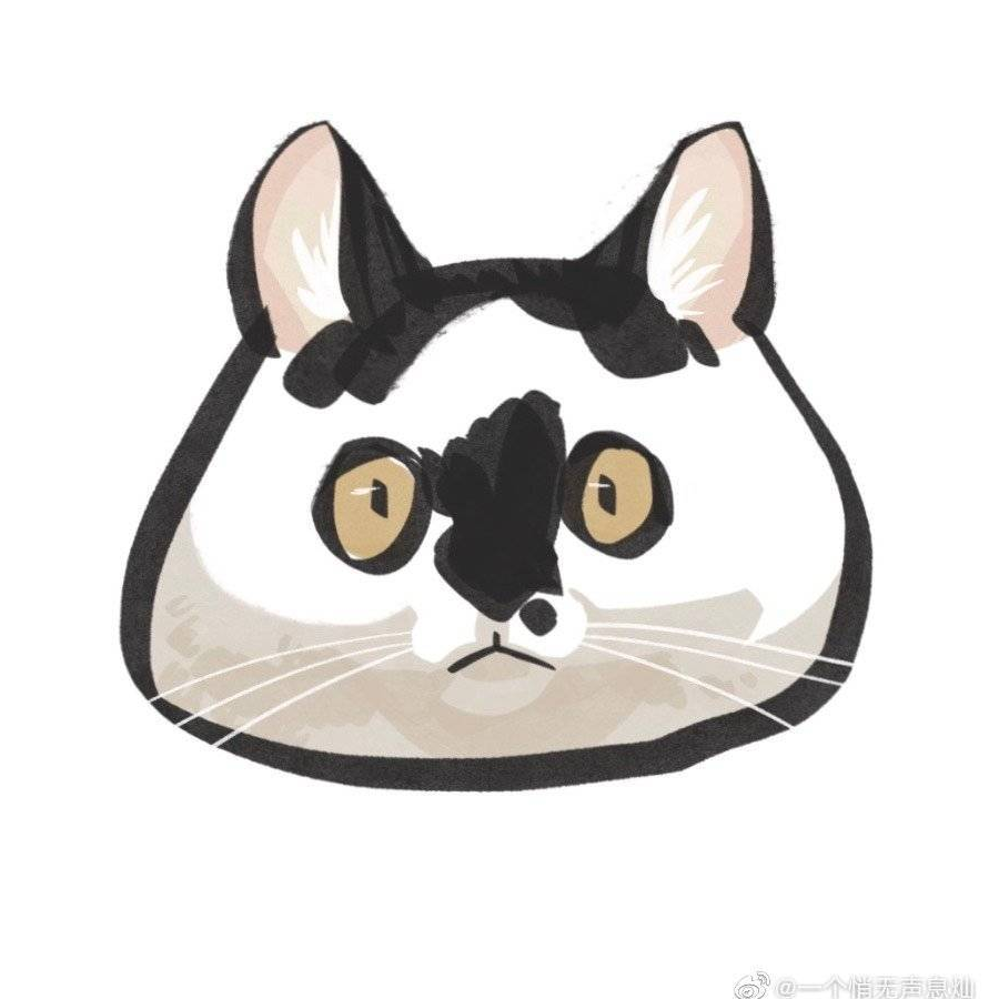 咦咦咦