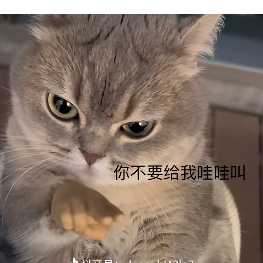 芜湖