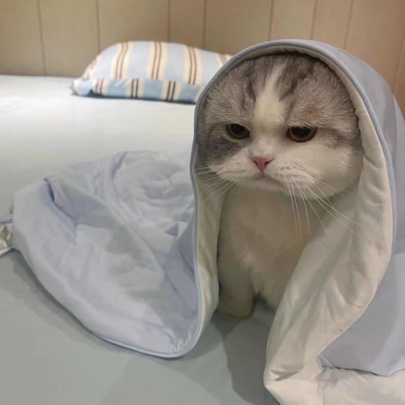 木色
