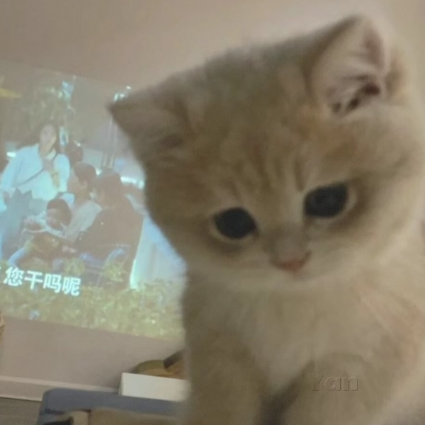 黎闻