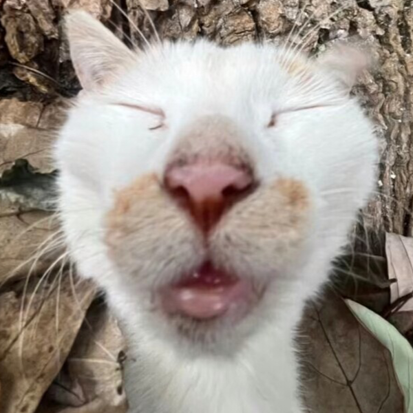 嗯