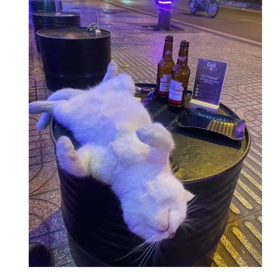 是兴仔不是肖战