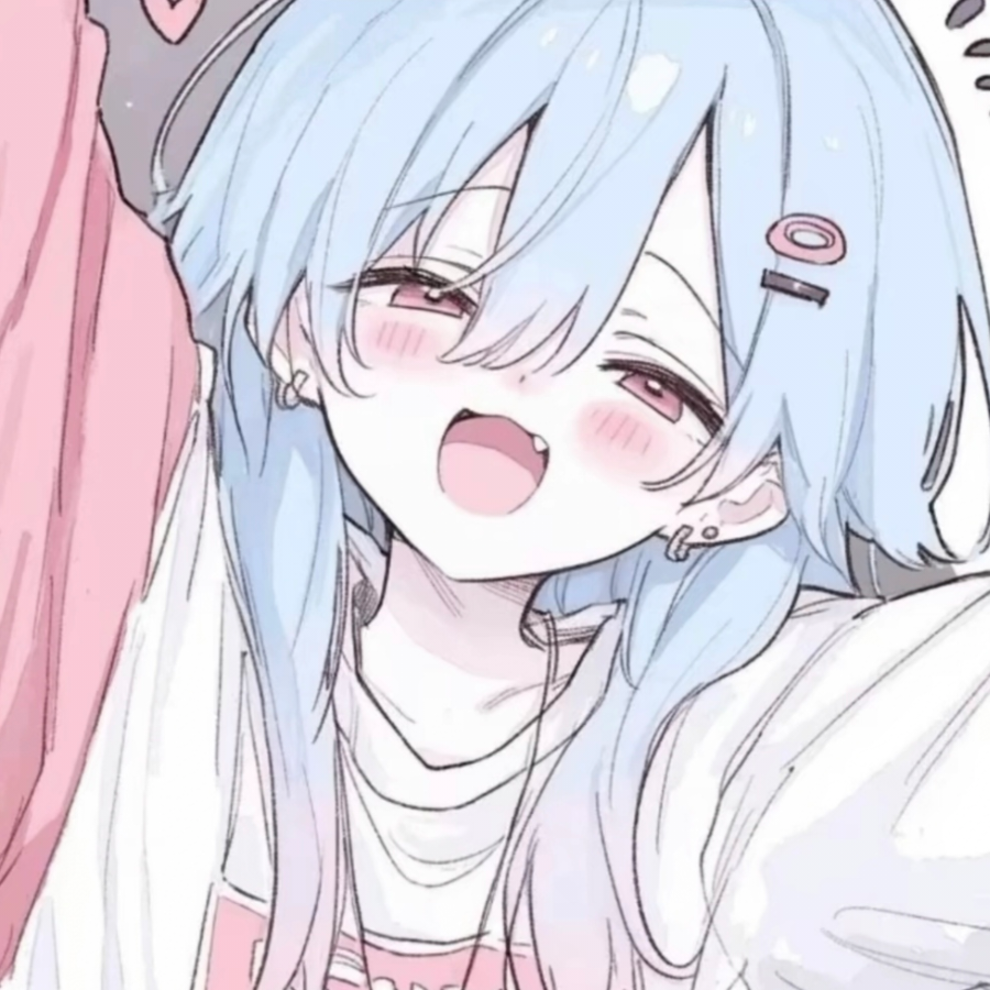诺崽