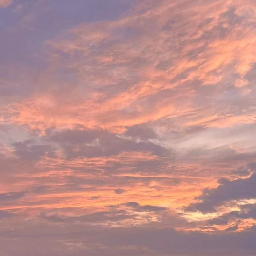 (●—●)无语……