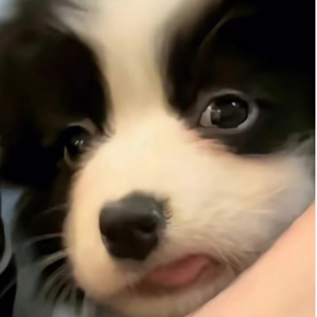 阿伟