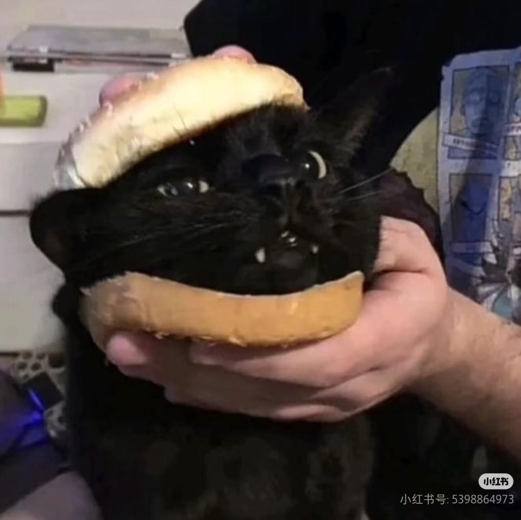 сонная