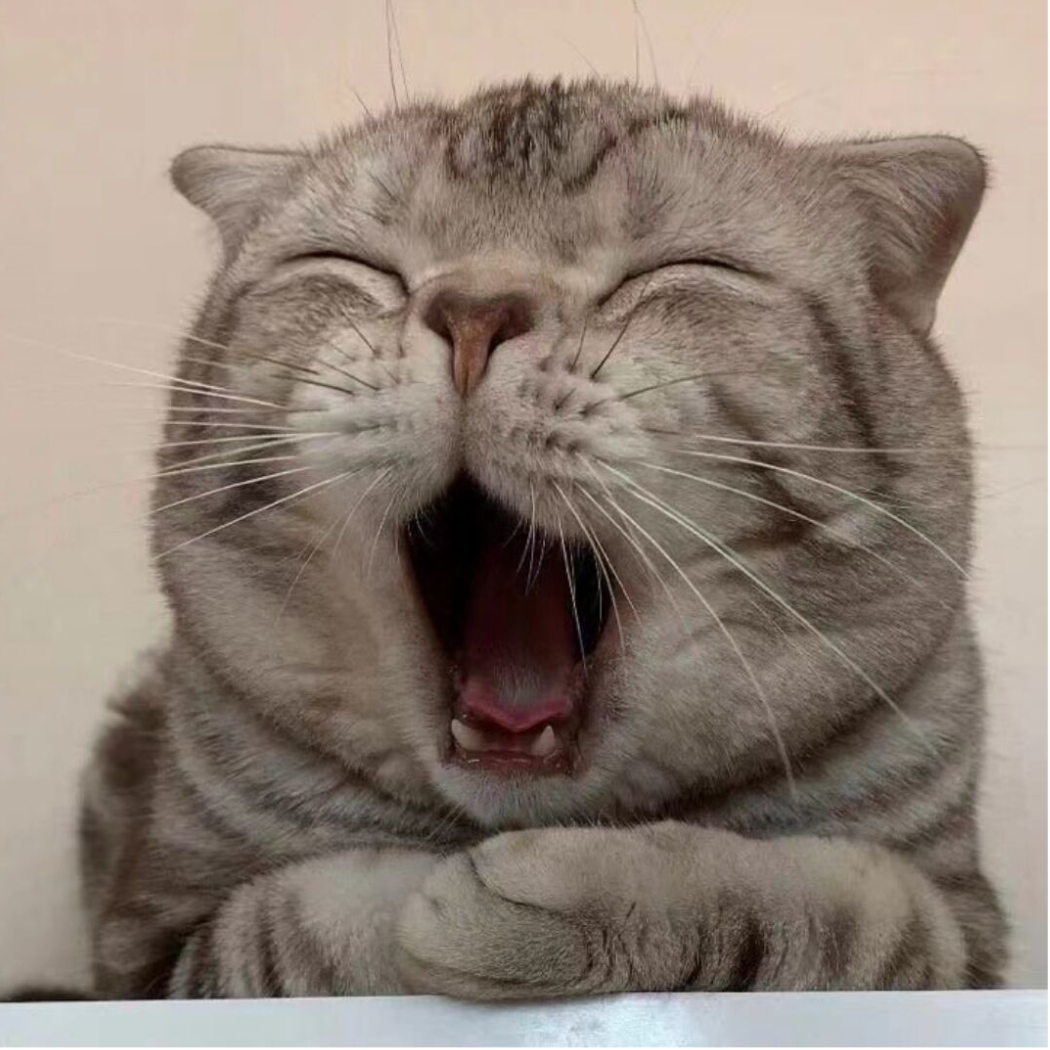 妄远方