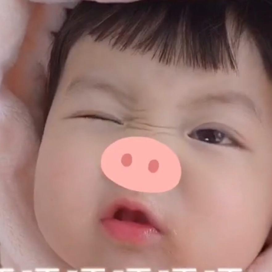 元气小猪猪🐷