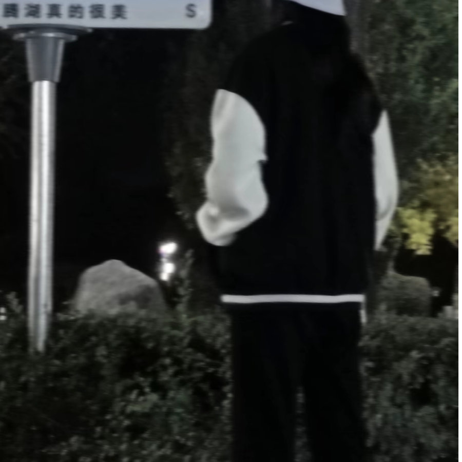老四季