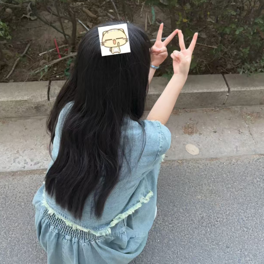 淑女