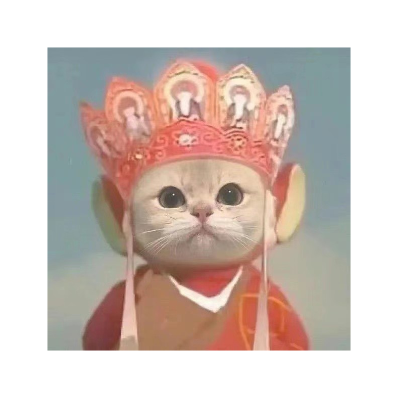 金铲铲二师兄