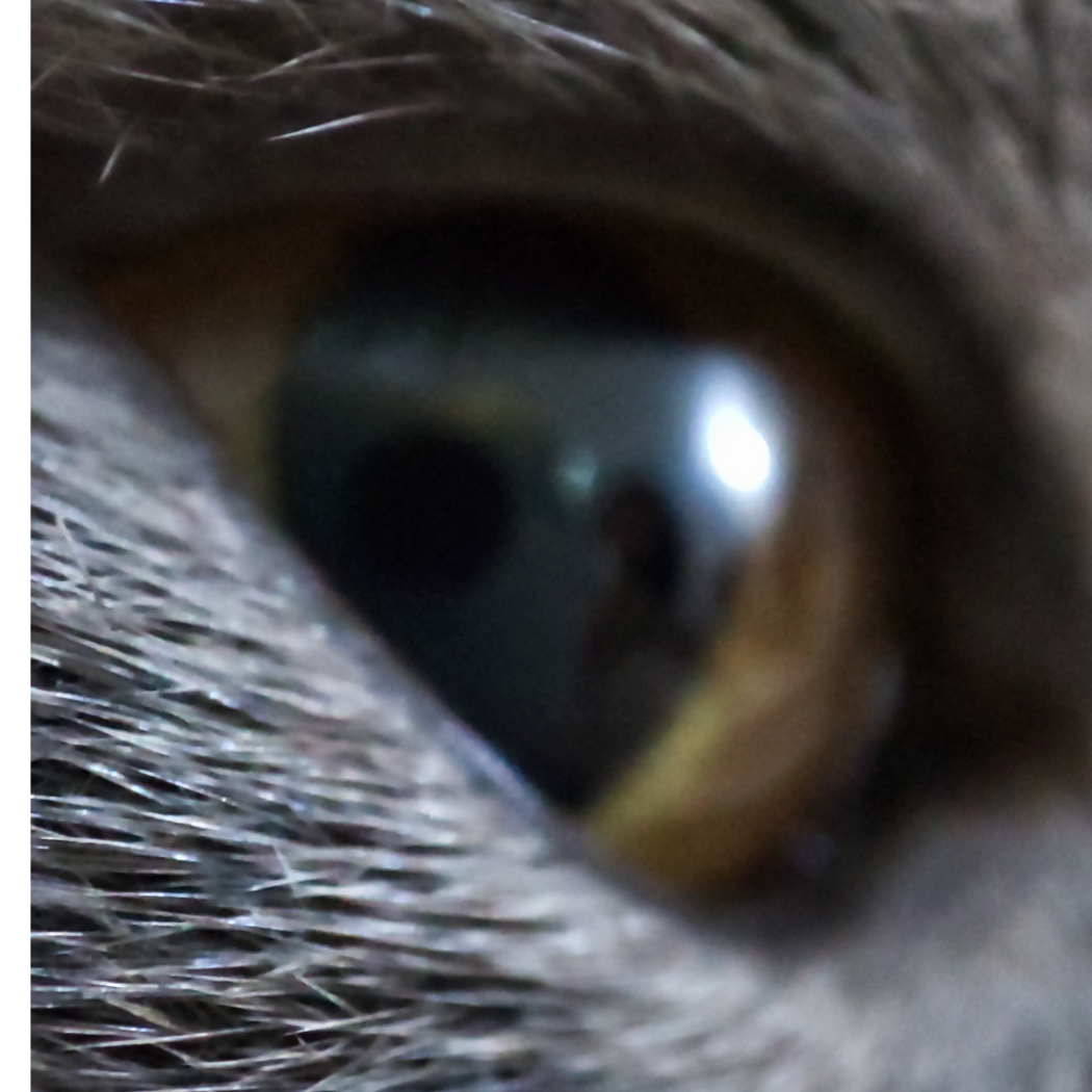 眯眯眼