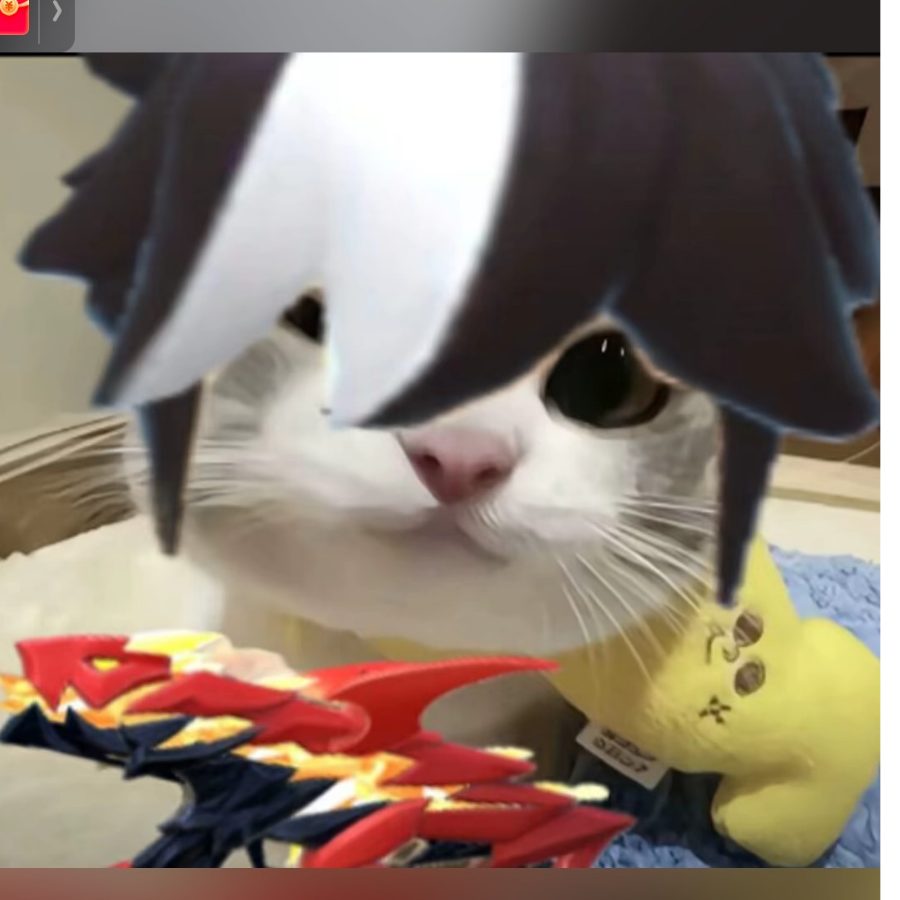脆bb