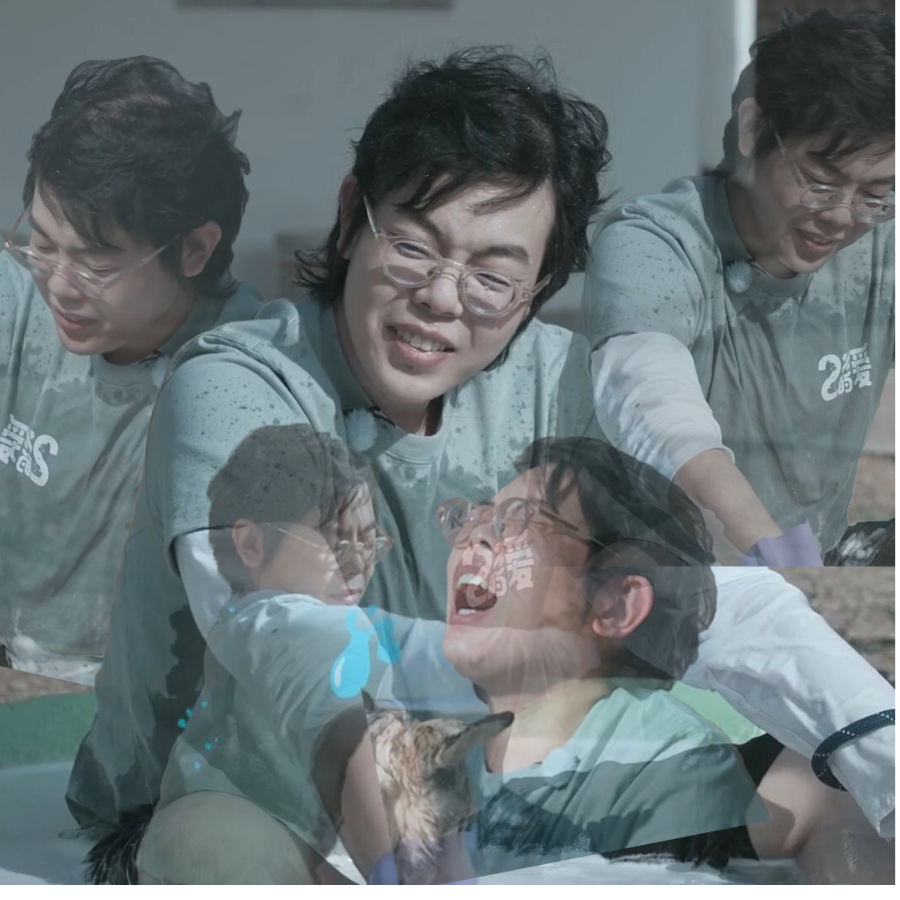 盖盖