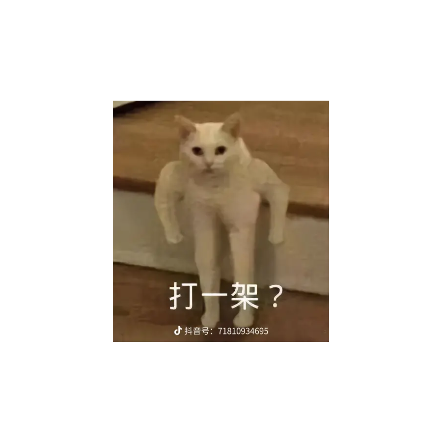 咕咕鸠占鹊巢咖啡