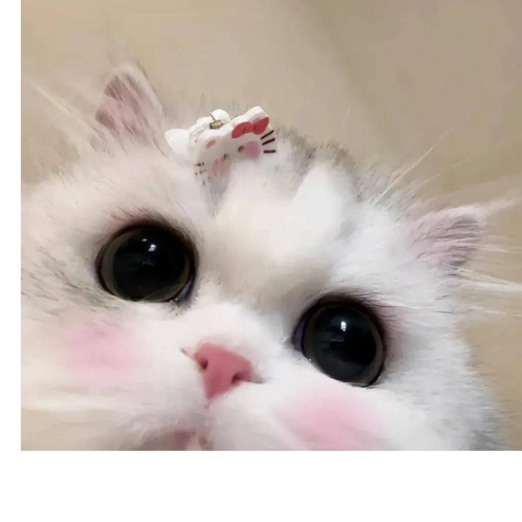 糖夫人