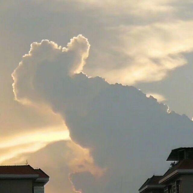 白骨