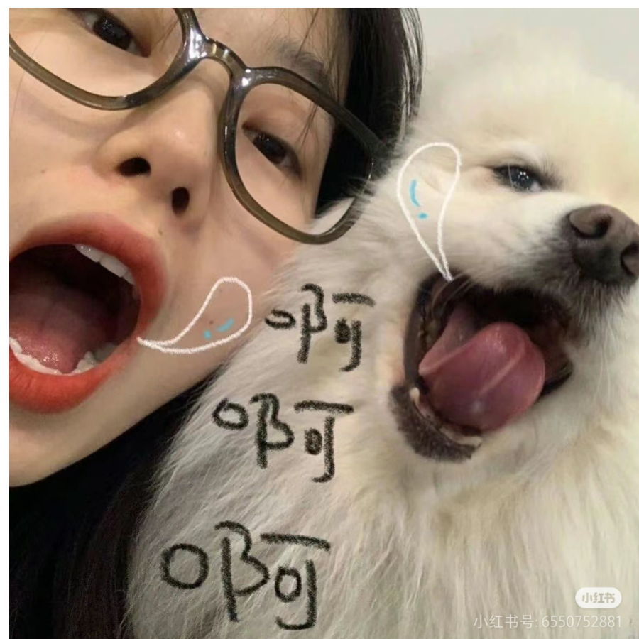 糕冷小美