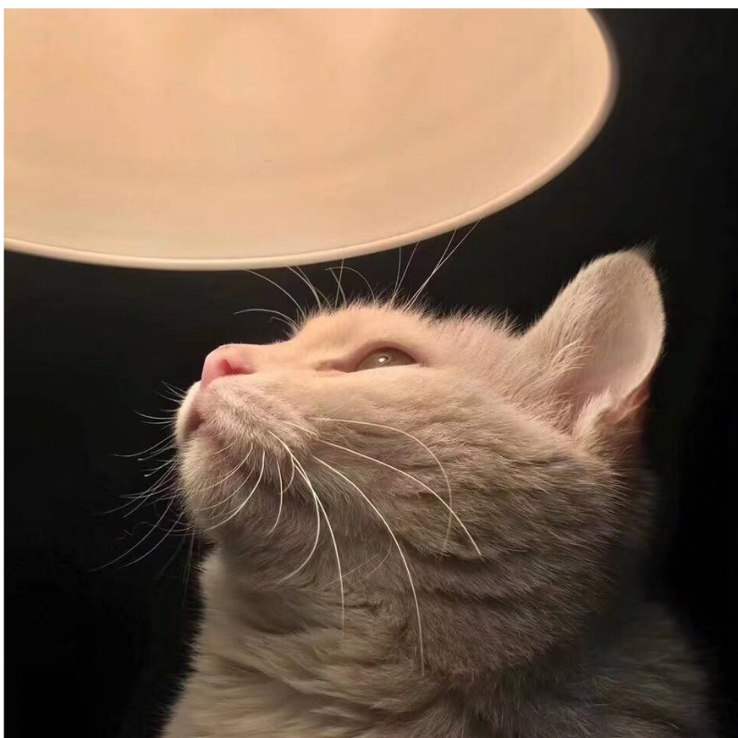 ᯤ