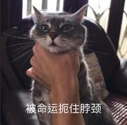 遗失的选择