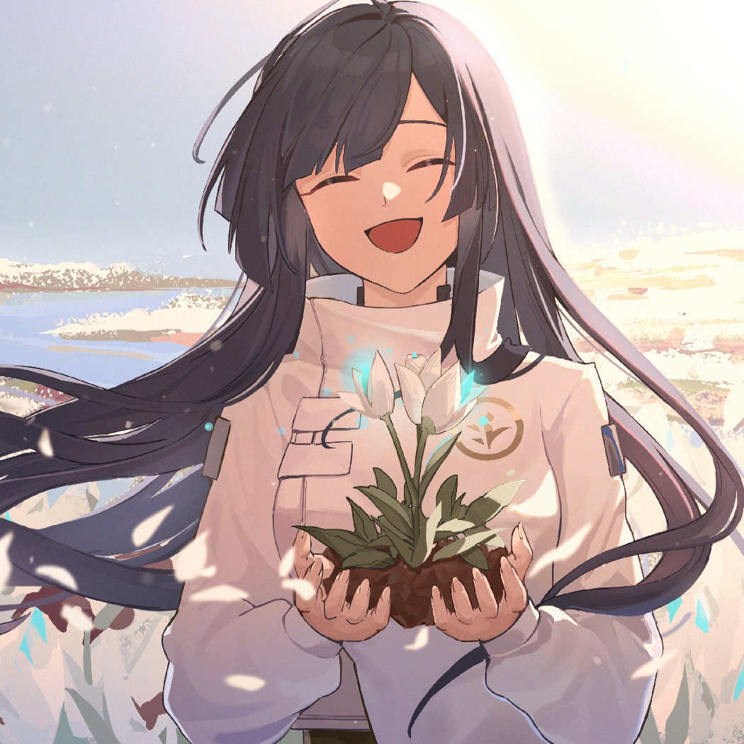 落羽集
