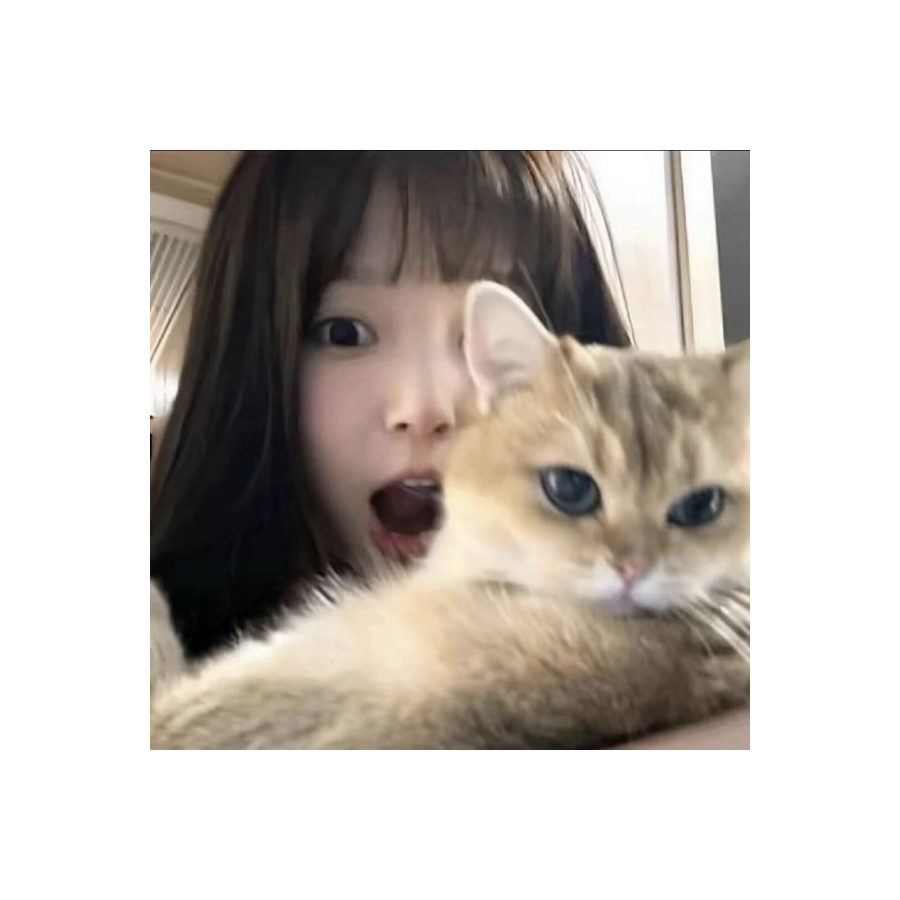 那我睡了y