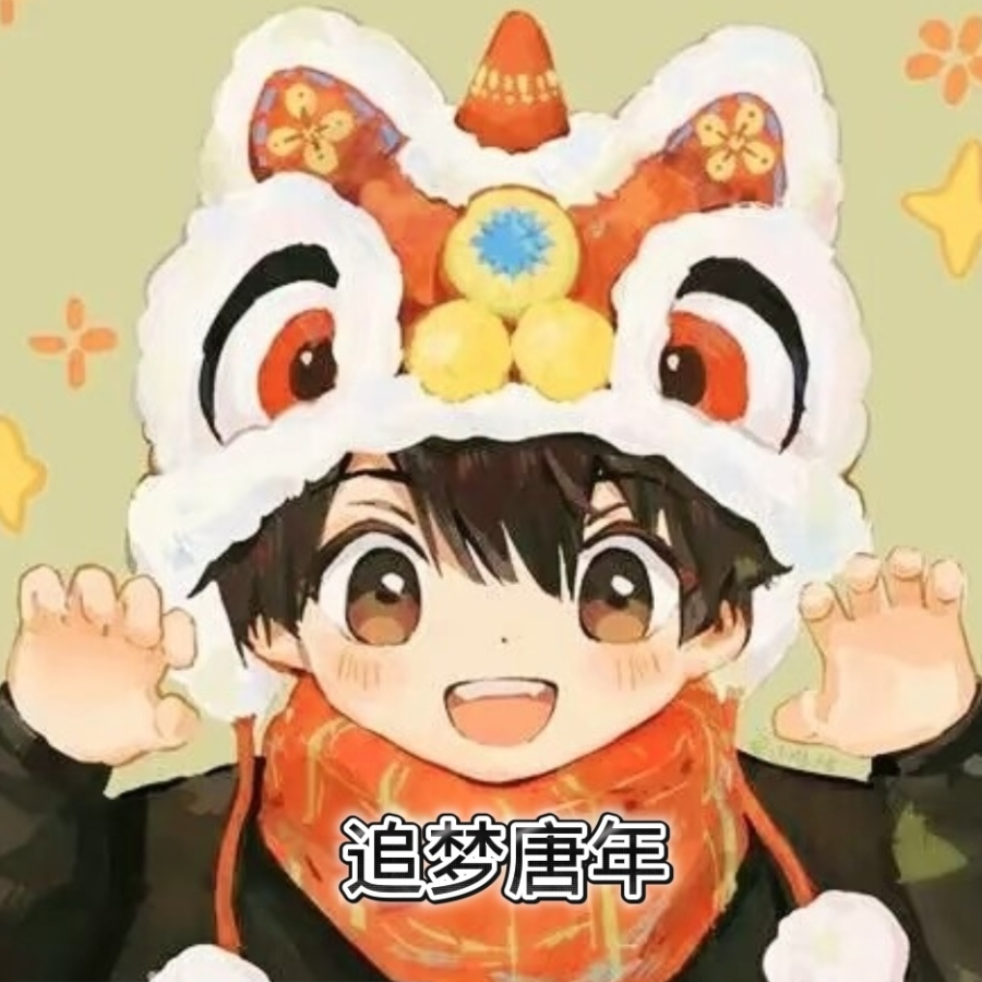 追梦唐年