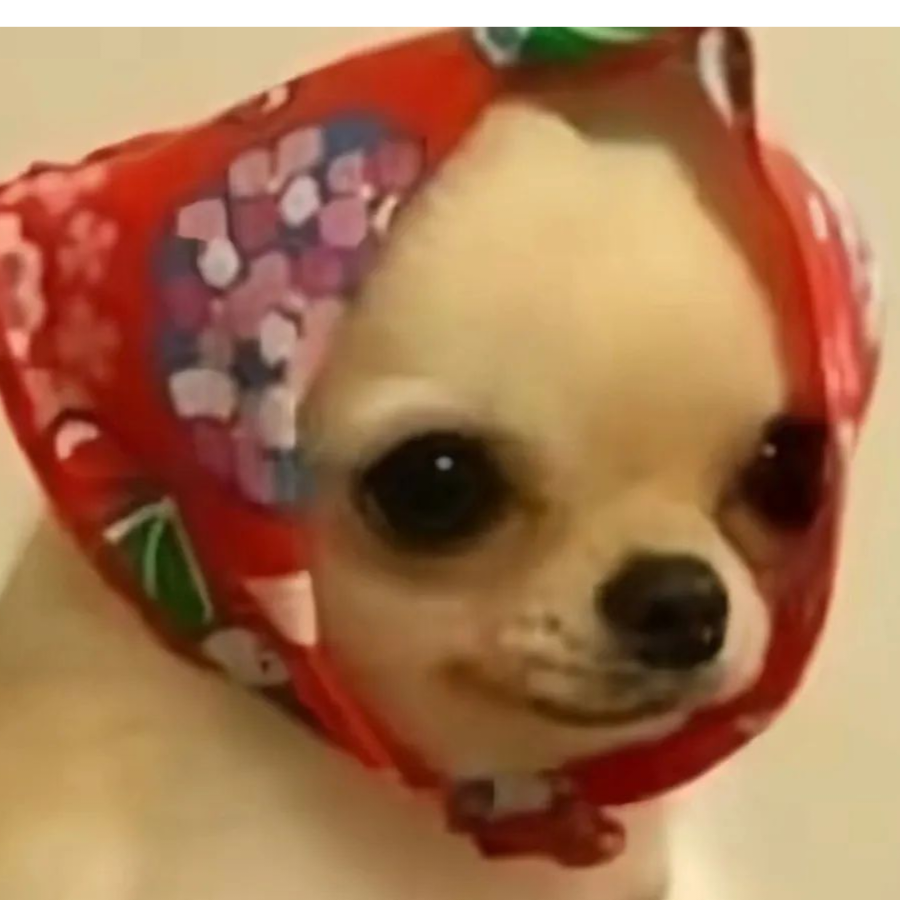 夏一