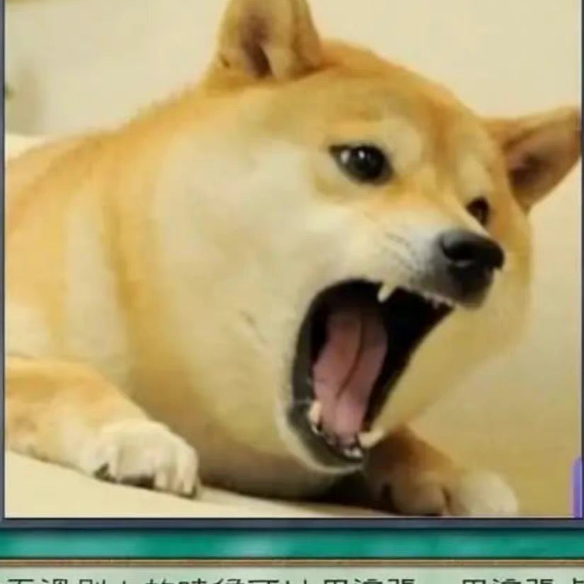 咸鱼咸不闲