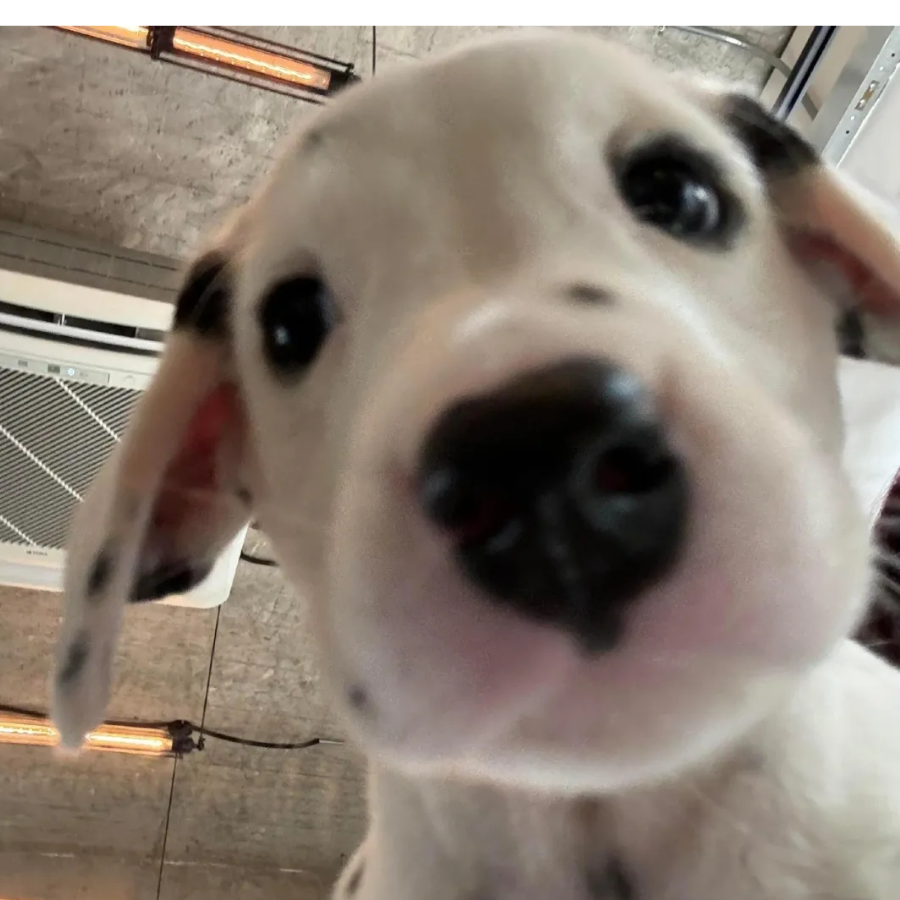 我好难难难难难难难