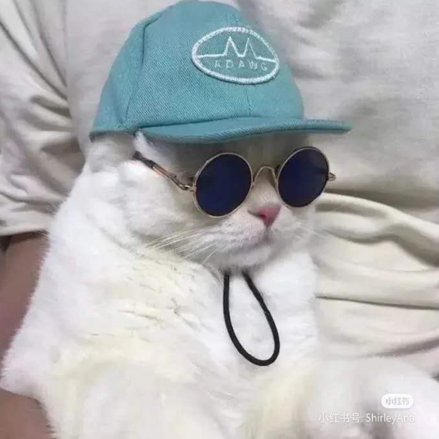 W.S.Y
