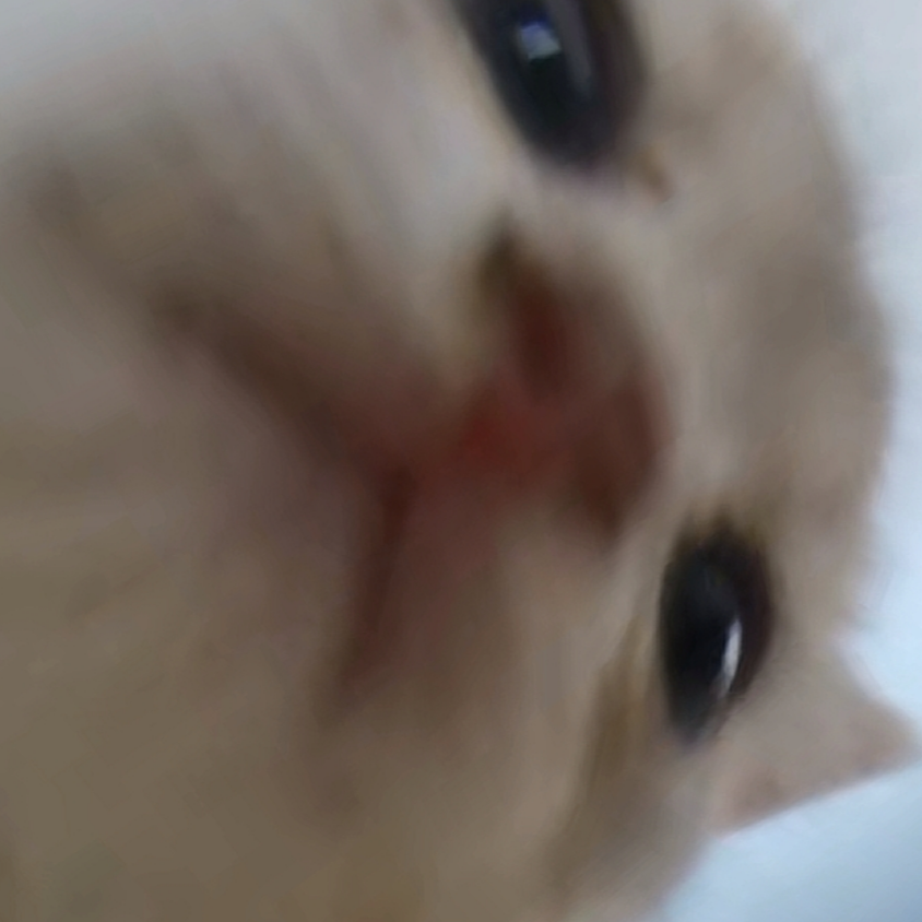 神懂纸杺